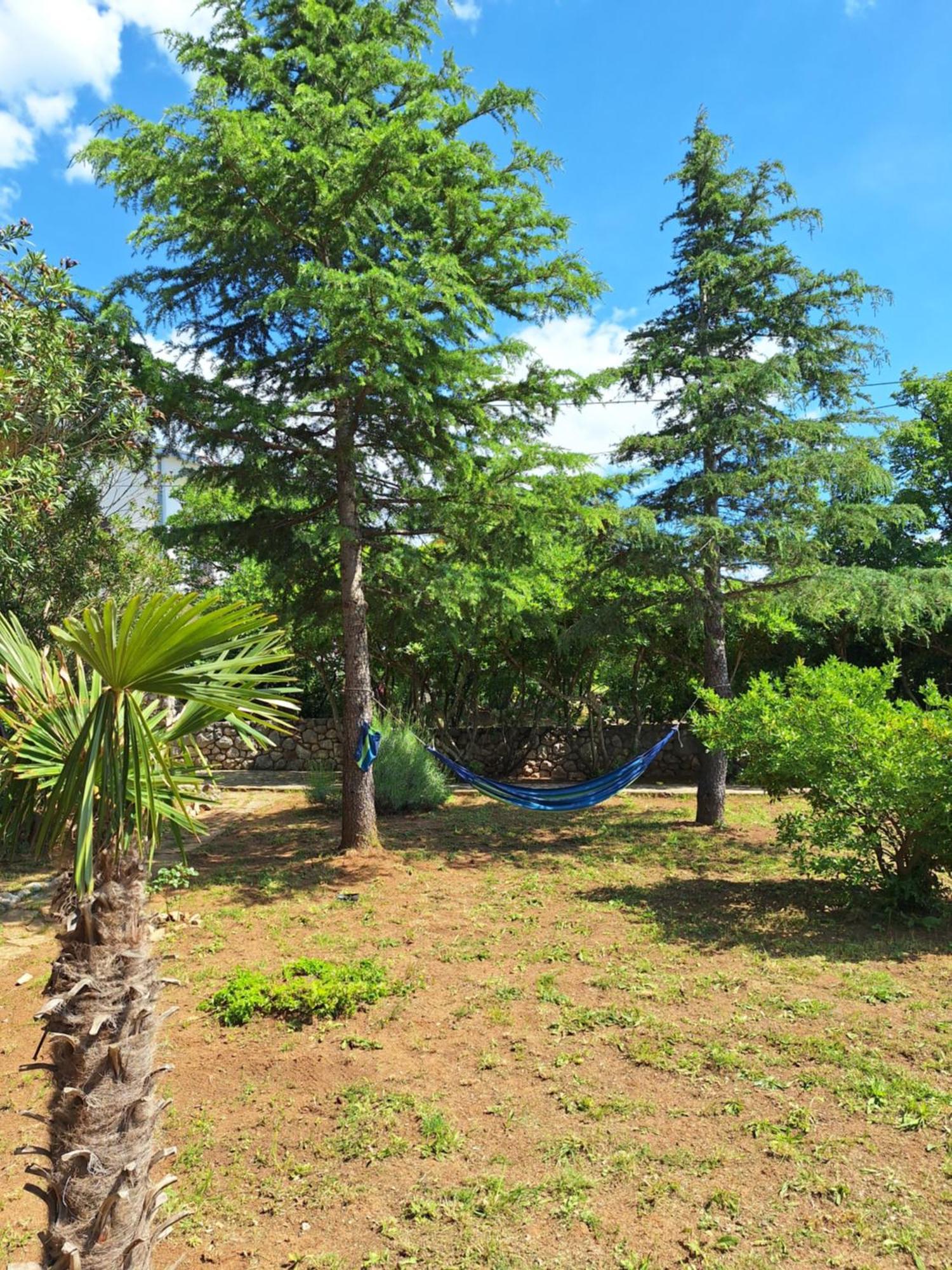 Apartmani Mia Jadranovo Dış mekan fotoğraf